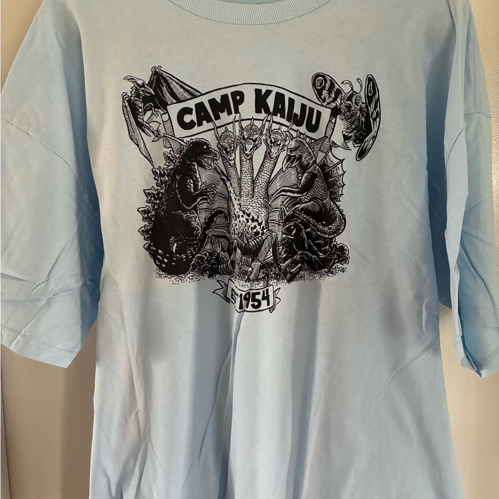 Mens Blue T-Shirt